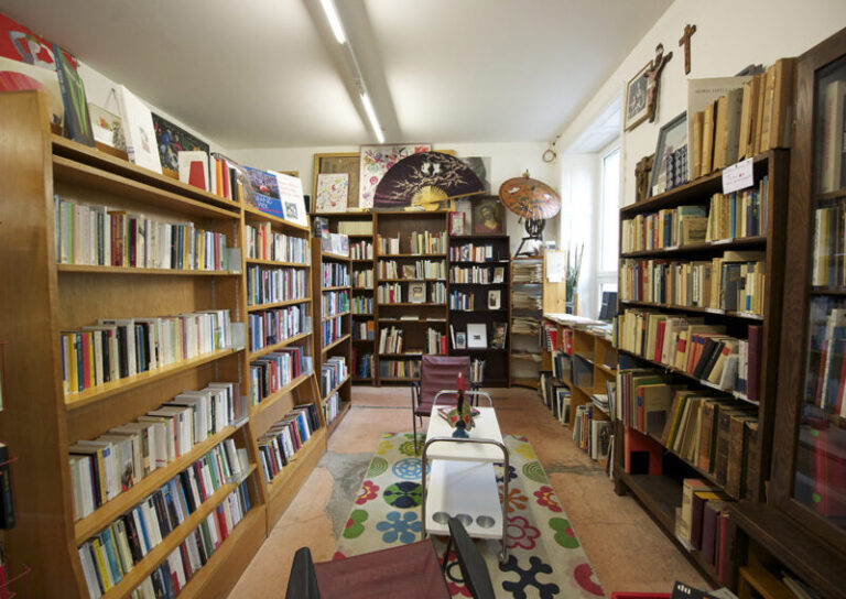 Glubos 5 1 800x567 1 768x544