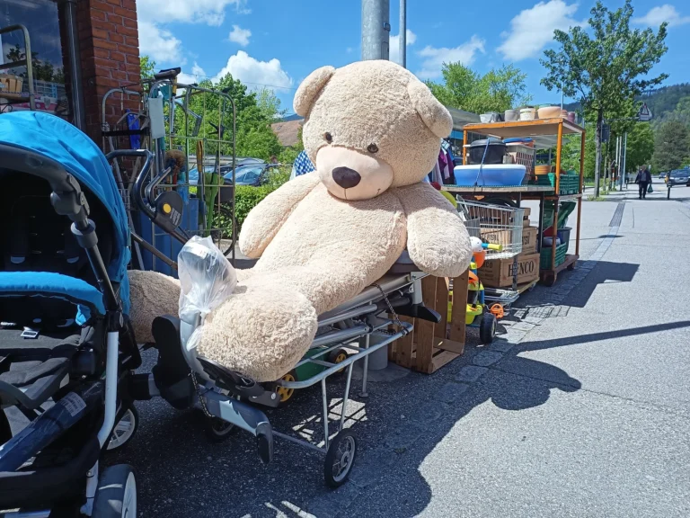 brockimania bild 768x576