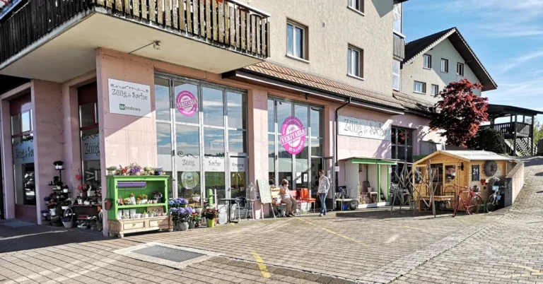 wondewa bild 768x402